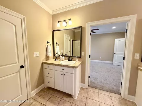Bath - 424 Julee Cir, Brandon, MS 39042 photo 6 of 11