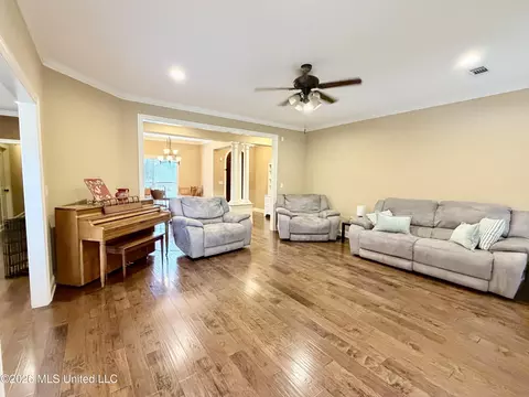 Living - 424 Julee Cir, Brandon, MS 39042 photo 3 of 4