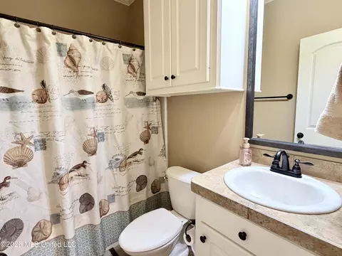 Bath - 424 Julee Cir, Brandon, MS 39042 photo 1 of 11