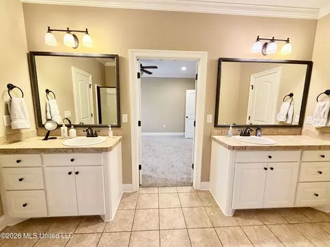 Bath - 424 Julee Cir, Brandon, MS 39042 photo 5 of 11