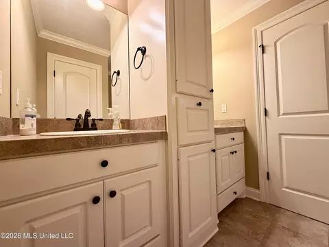 Bath - 424 Julee Cir, Brandon, MS 39042 photo 8 of 11