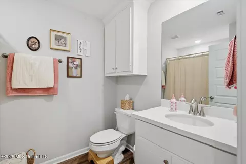 Bath - 2059 Pebble Creek Dr, Brandon, MS 39042 photo 2 of 2