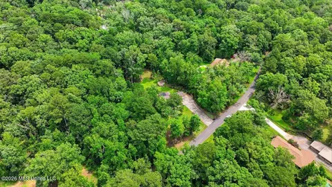 View/Area - 5 Rochelle Dr, Brandon, MS 39047 photo 2 of 4