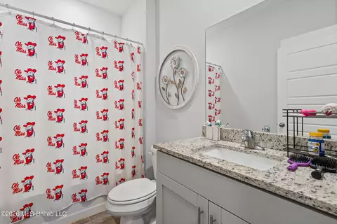 Bath - 2091 Hyacinth Ln, Hernando, MS 38632 photo 3 of 3