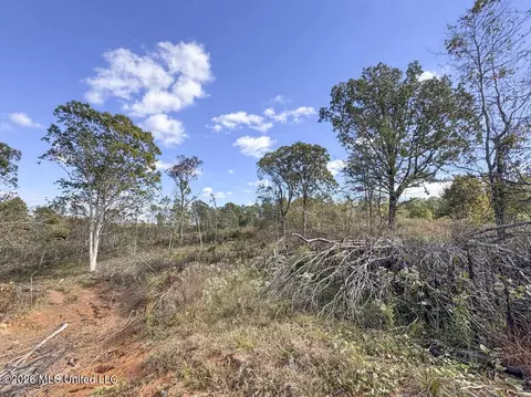 County Road 154, Tillatoba, MS 38961