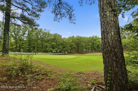 107 Sunflower Rd, Madison, MS 39110 photo 34