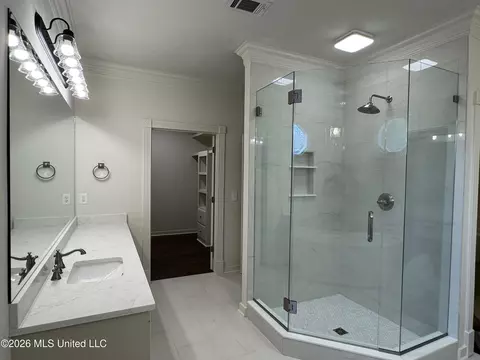 Bath - 76 Eastgate Dr, Brandon, MS 39042 photo 5 of 7