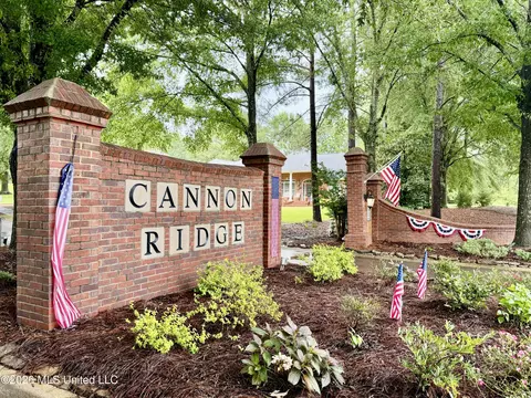 Other - 205 Stonebriar Ln, Brandon, MS 39042 photo 7 of 7