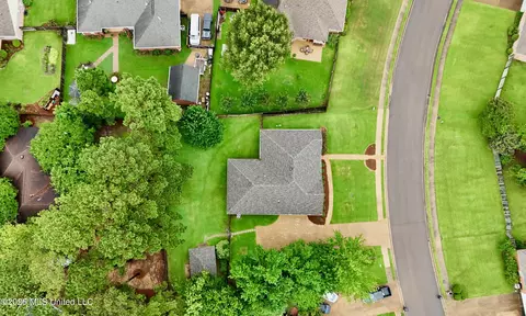 View/Area - 205 Stonebriar Ln, Brandon, MS 39042 photo 6 of 6