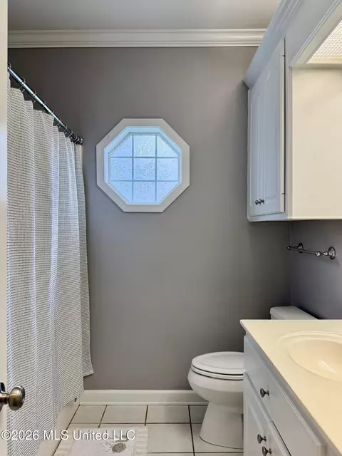 Bath - 205 Stonebriar Ln, Brandon, MS 39042 photo 9 of 10