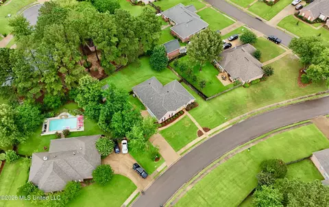 View/Area - 205 Stonebriar Ln, Brandon, MS 39042 photo 5 of 6