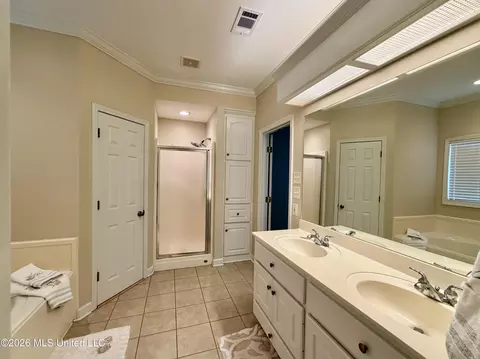 Bath - 205 Stonebriar Ln, Brandon, MS 39042 photo 3 of 10