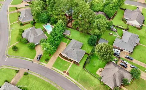 View/Area - 205 Stonebriar Ln, Brandon, MS 39042 photo 4 of 6