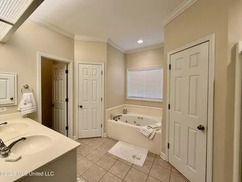 Bath - 205 Stonebriar Ln, Brandon, MS 39042 photo 5 of 10