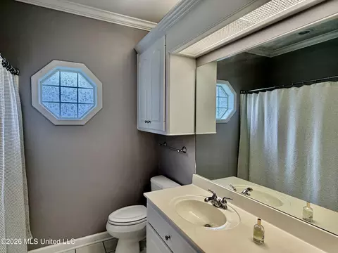 Bath - 205 Stonebriar Ln, Brandon, MS 39042 photo 10 of 10