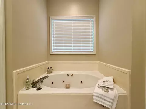 Bath - 205 Stonebriar Ln, Brandon, MS 39042 photo 7 of 10