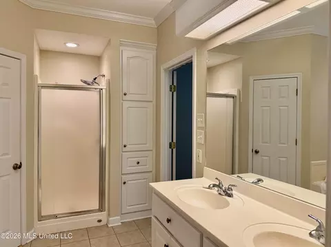 Bath - 205 Stonebriar Ln, Brandon, MS 39042 photo 4 of 10