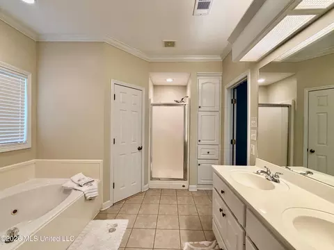 Bath - 205 Stonebriar Ln, Brandon, MS 39042 photo 1 of 10