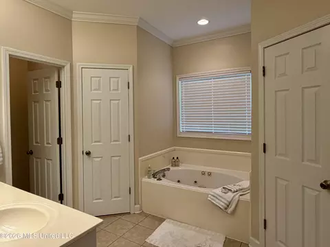 Bath - 205 Stonebriar Ln, Brandon, MS 39042 photo 6 of 10