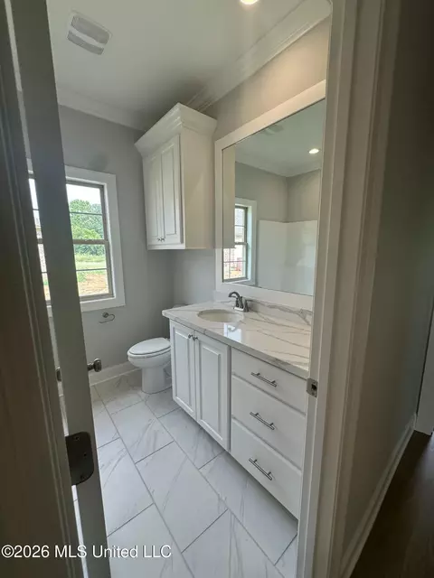 Bath - 407 Alta Vis, Madison, MS 39110 photo 6 of 7