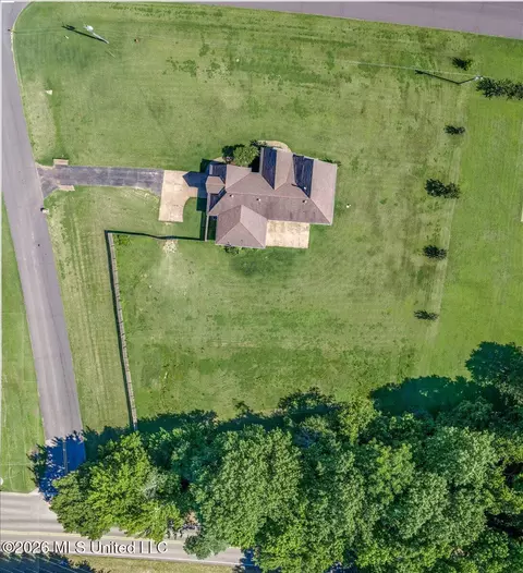 View/Area - 10213 Emerald Forest Dr, Hernando, MS 38632 photo 3 of 3