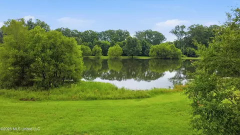 142 Iron Oak Rdg, Brandon, MS 39042 photo 14