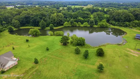 142 Iron Oak Rdg, Brandon, MS 39042 photo 25
