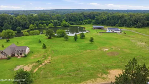 142 Iron Oak Rdg, Brandon, MS 39042 photo 17