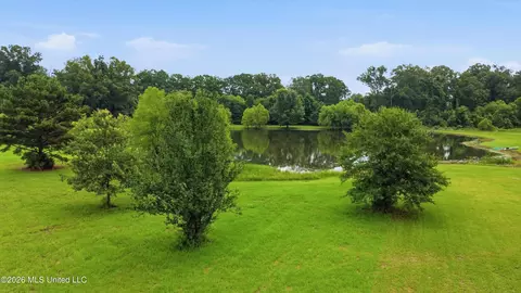 142 Iron Oak Rdg, Brandon, MS 39042 photo 13