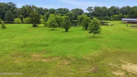142 Iron Oak Rdg, Brandon, MS 39042 photo 7