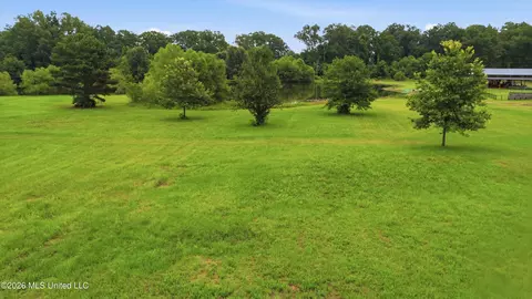142 Iron Oak Rdg, Brandon, MS 39042 photo 20