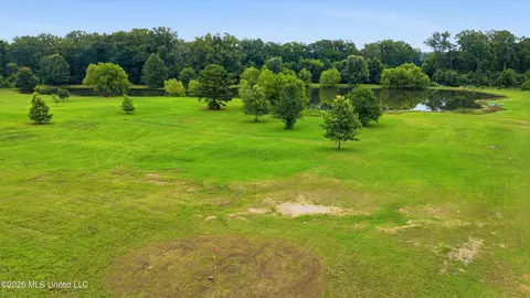 142 Iron Oak Rdg, Brandon, MS 39042 photo 5