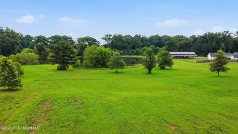 142 Iron Oak Rdg, Brandon, MS 39042 photo 11