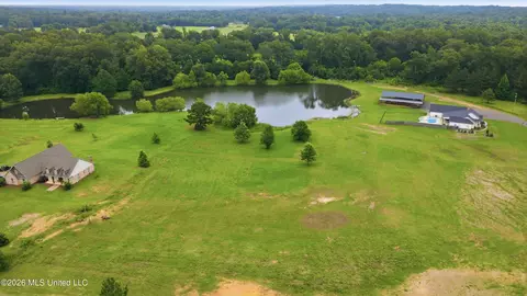 142 Iron Oak Rdg, Brandon, MS 39042 photo 23