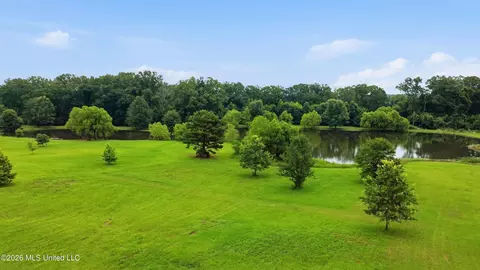 142 Iron Oak Rdg, Brandon, MS 39042 photo 15