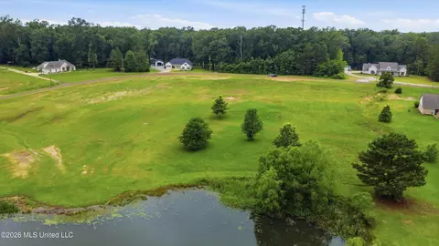 142 Iron Oak Rdg, Brandon, MS 39042 photo 4