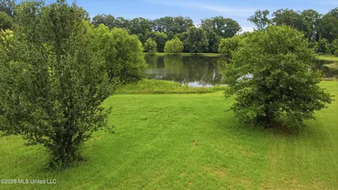 142 Iron Oak Rdg, Brandon, MS 39042 photo 18