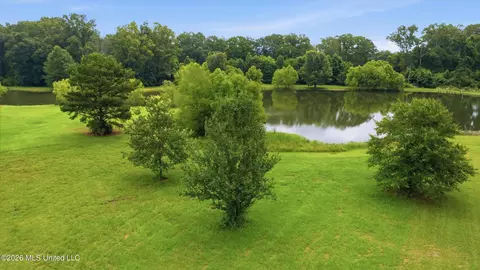 142 Iron Oak Rdg, Brandon, MS 39042 photo 19