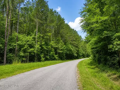 Scr Road 114, Mize, MS 39116