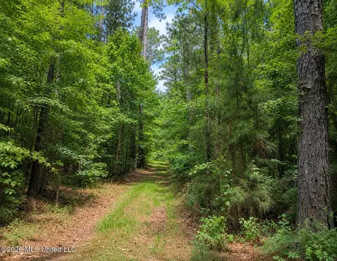 Scr Road 114, Mize, MS 39116 photo 2