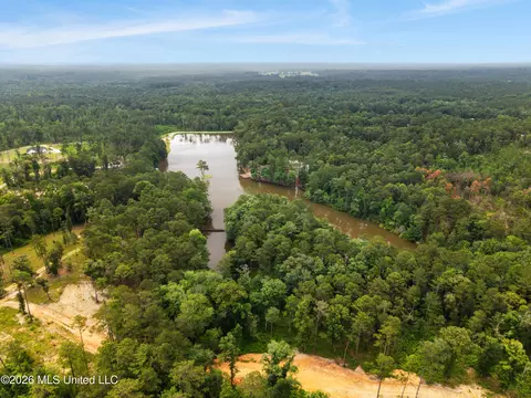 View/Area - 14 Spring Lake Dr, Sumrall, MS 39482 photo 1 of 4