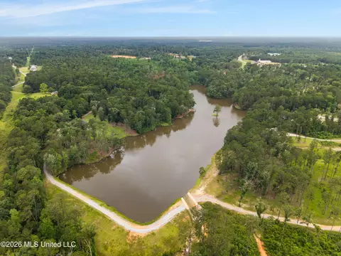 View/Area - 14 Spring Lake Dr, Sumrall, MS 39482 photo 4 of 4