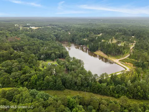 View/Area - 14 Spring Lake Dr, Sumrall, MS 39482 photo 3 of 4
