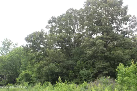 1500 Allen Corner Rd, Lamar, MS 38642 photo 7