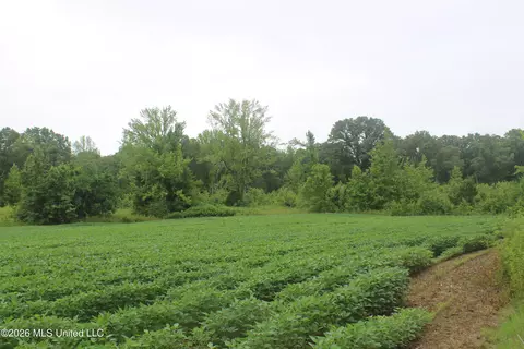 1500 Allen Corner Rd, Lamar, MS 38642 photo 10