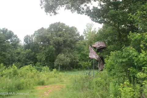 1500 Allen Corner Rd, Lamar, MS 38642 photo 8