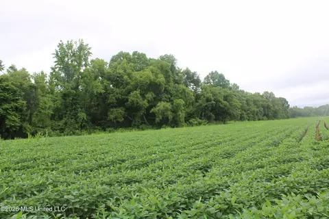 1500 Allen Corner Rd, Lamar, MS 38642 photo 16