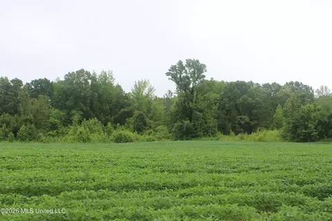 1500 Allen Corner Rd, Lamar, MS 38642 photo 11