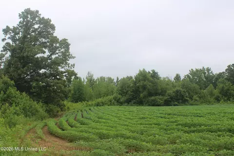 1500 Allen Corner Rd, Lamar, MS 38642 photo 9