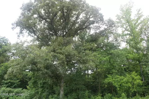 1500 Allen Corner Rd, Lamar, MS 38642 photo 14